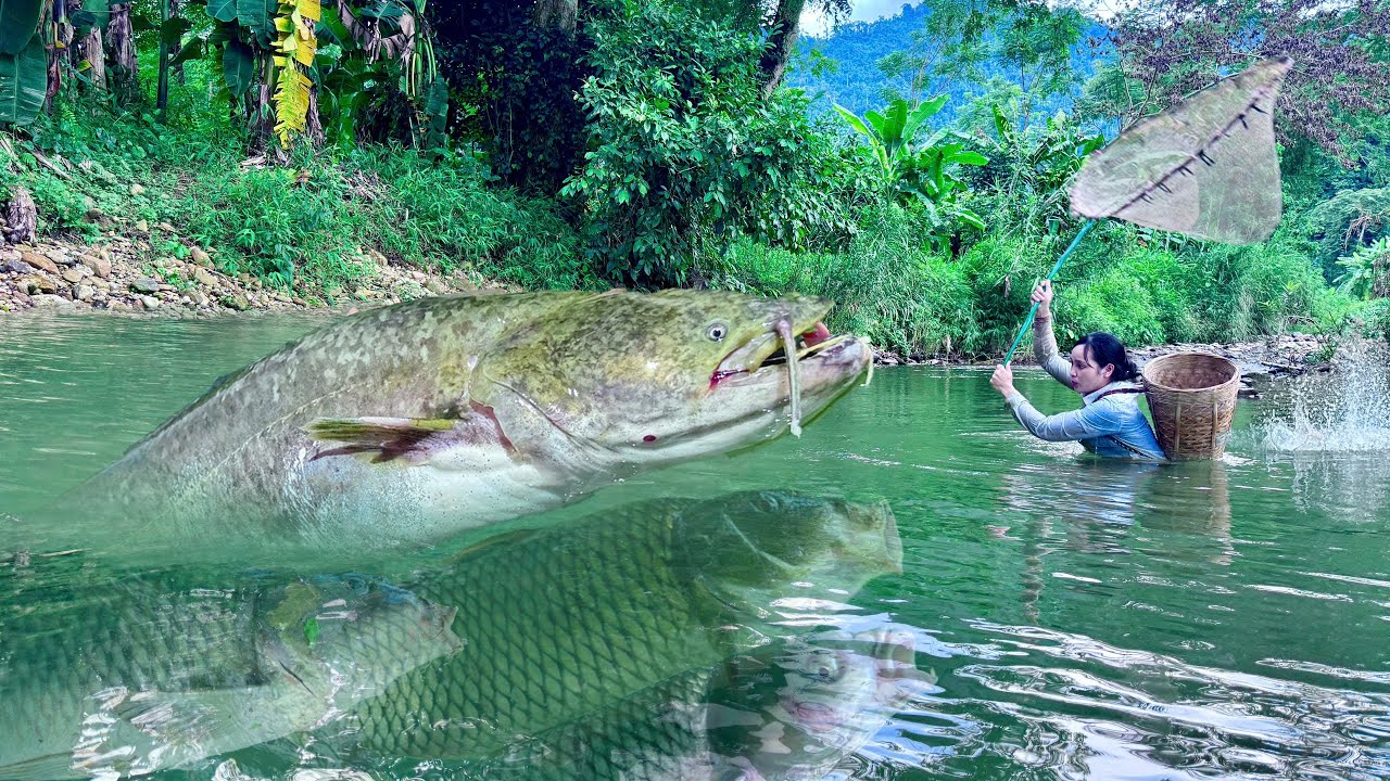 Traditional Fishing Skills - Single Mother Catches Giant Fish with a Fishing Scoop