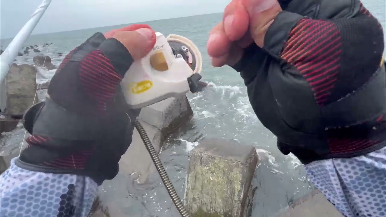 朝聖鹿港北堤磯釣黑鯛，怎麼都是花身雞….黑毛喜歡吃練餌？