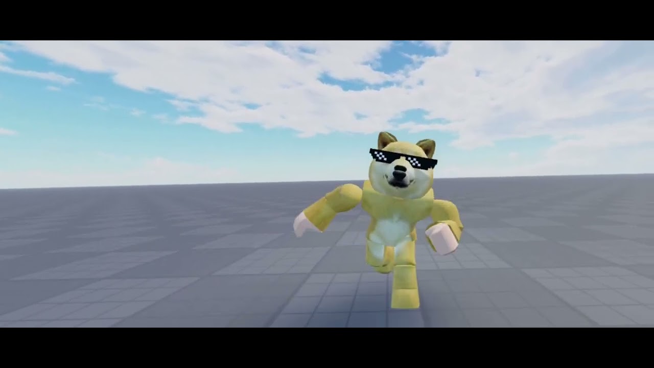 Doge punches camera