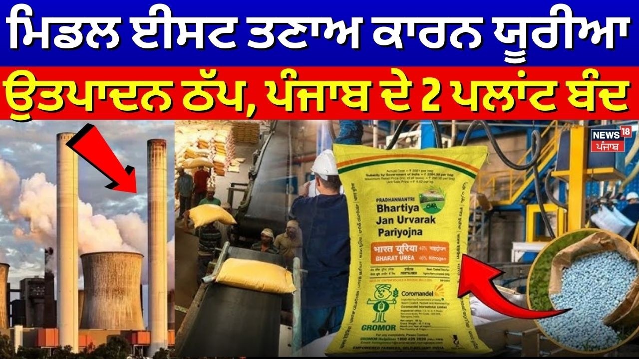 Middle East ਤਣਾਅ ਕਾਰਨ ਯੂਰੀਆ ਉਤਪਾਦਨ ਠੱਪ, ਪੰਜਾਬ ਦੇ 2 ਪਲਾਂਟ ਬੰਦ | NFL | LNG| Iran Israel War| N18G