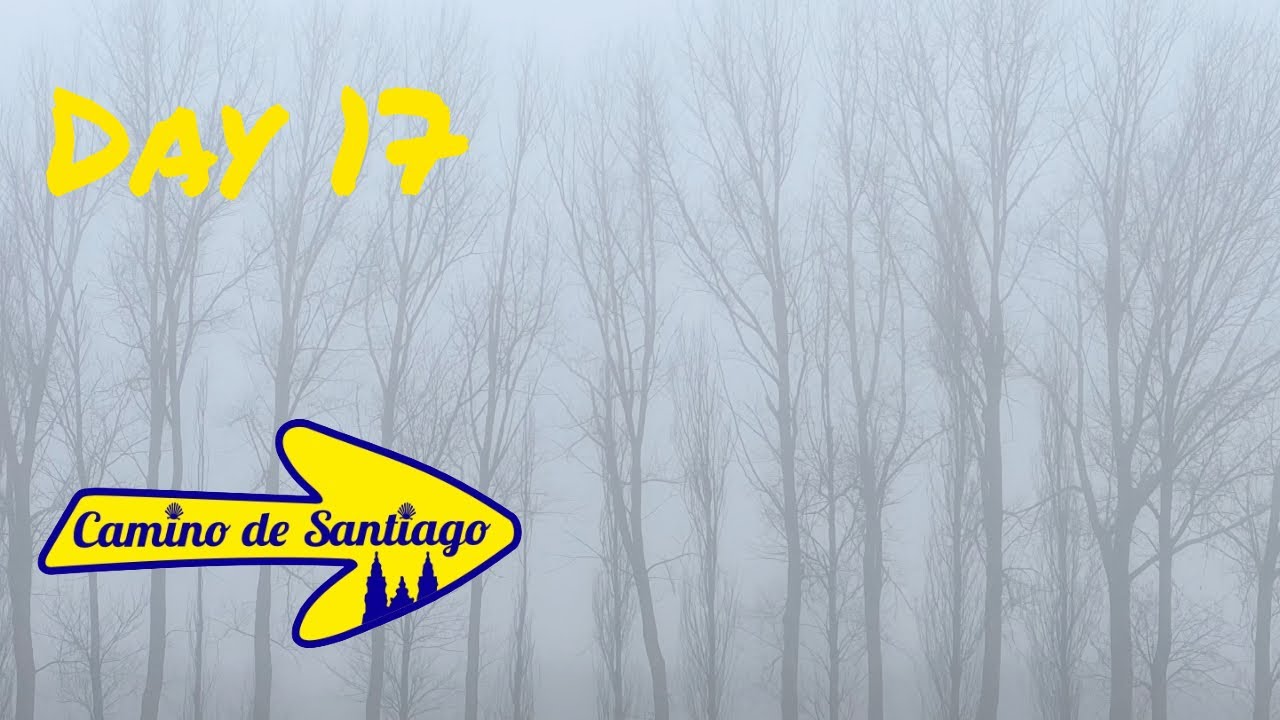 Camino de Santiago, Frances day 17