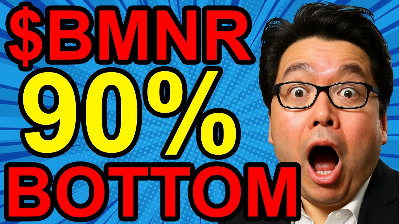 90% прибыли получено – $BMNR достигла минимального уровня