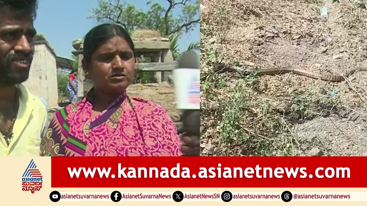 ಲಕ್ಕುಂಡಿ ಮಠದಲ್ಲಿ 5 ಮೀಟರ್ ಉದ್ದದ ಹಾವು! ಜನರಲ್ಲಿ ಆತಂಕ | Lakkundi Chowkimath snake | Suvarna News