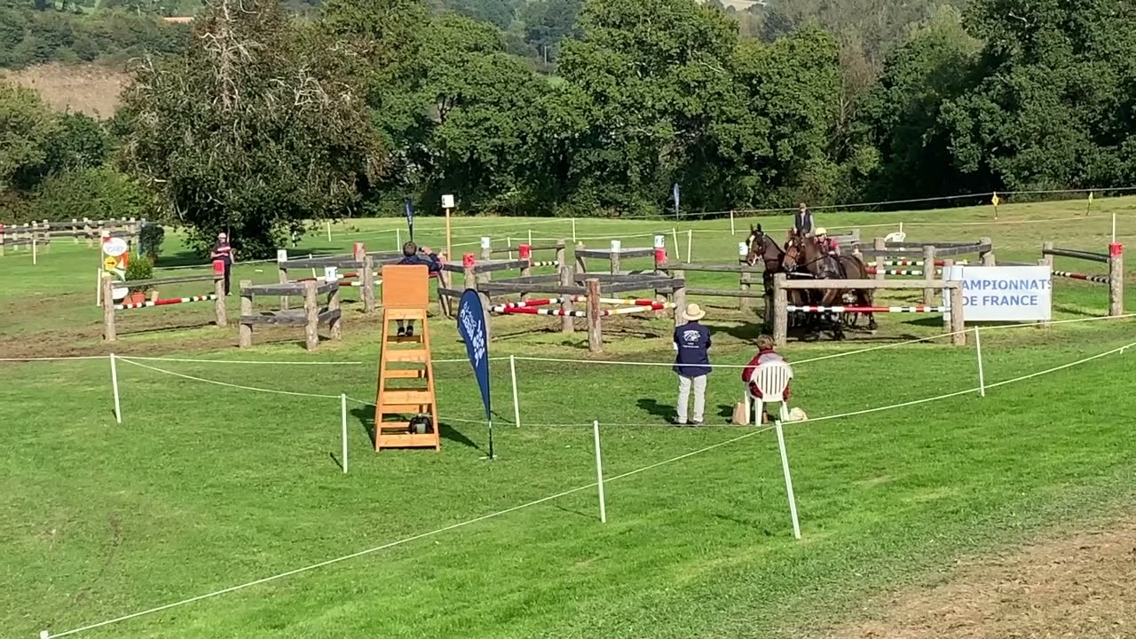 Championnat de France d'attelage 2021   HD 720p