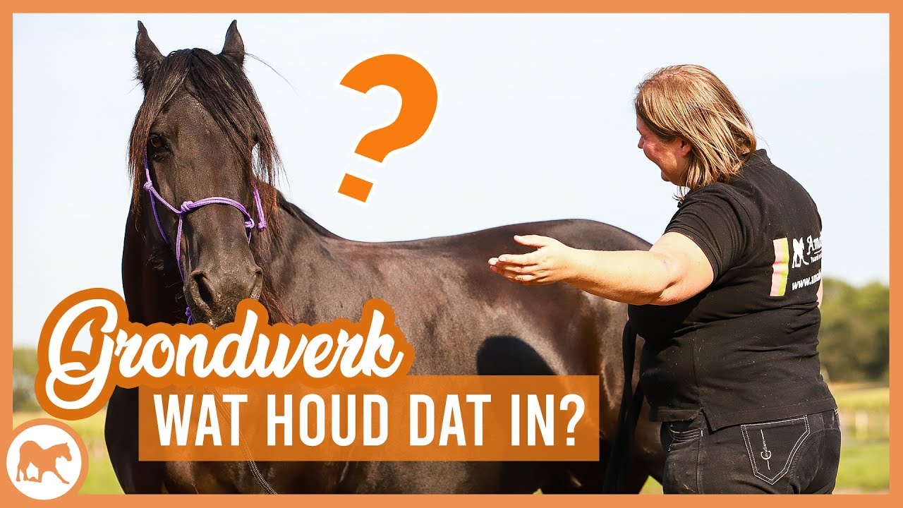 Wat is grondwerk eigenlijk?