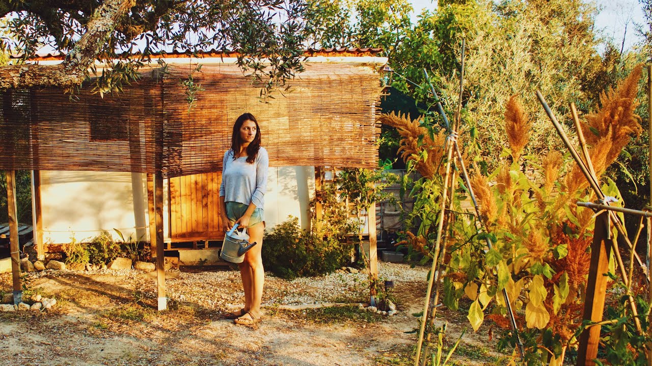 Living Off Grid on a Small Farm in Central Portugal