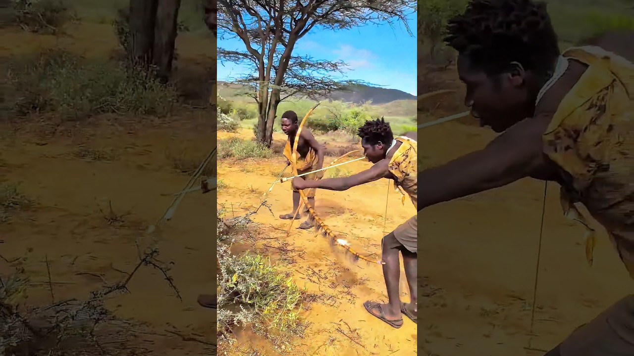African Bush Hunt | Hunter Fires Arrow at Hidden Prey.#shorts #wildlife #hunting