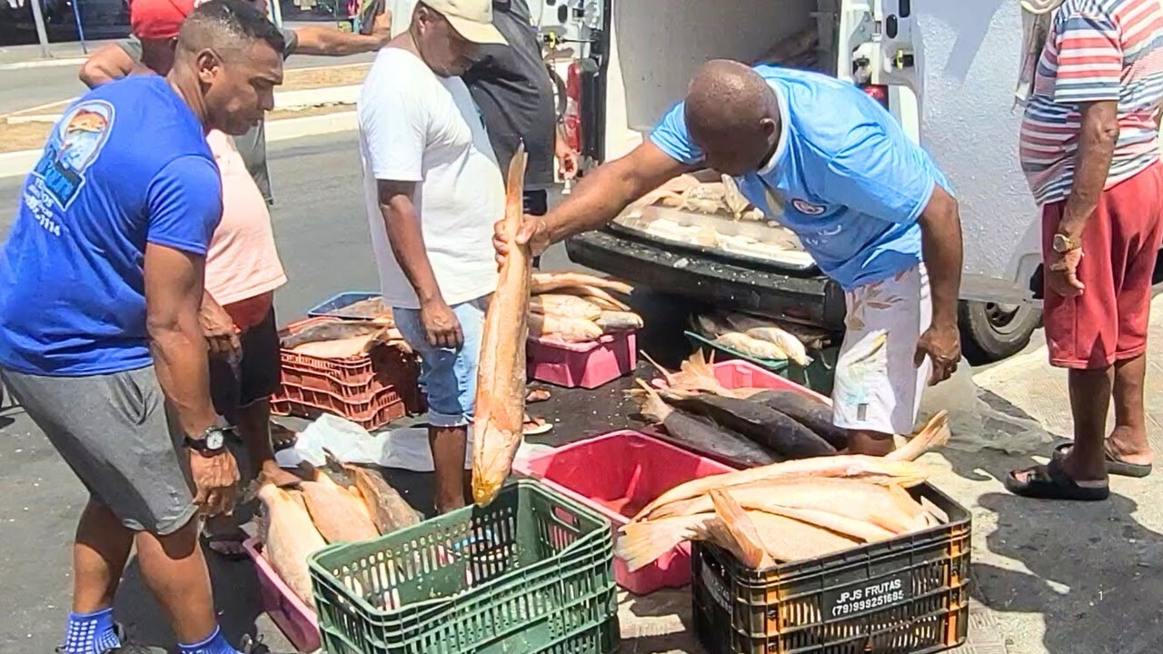 A Vida dos Pescadores em Aracaju: E o Mercado de Pescados