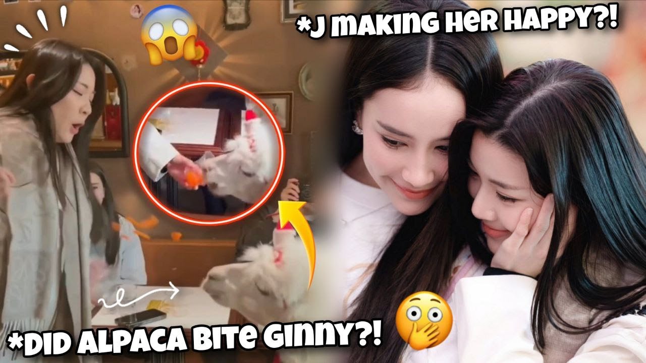 [GinJay] - Did Alpaca bite Ginny?! | Jayna making Ginny happy in Shanghai!?