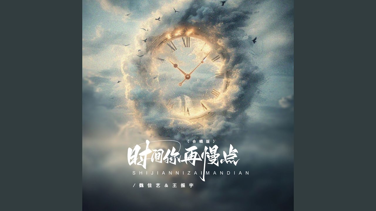 时间你再慢点 (DJ京仔合唱版)