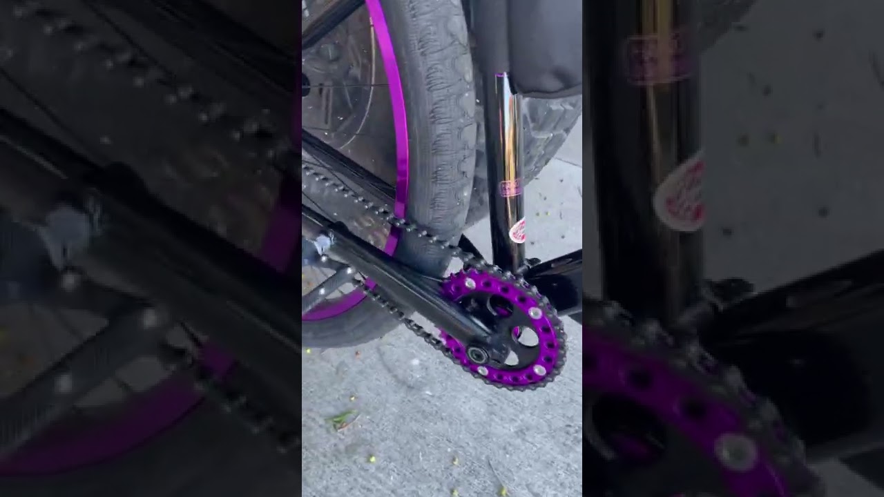 My SE Bikes Big Flyer