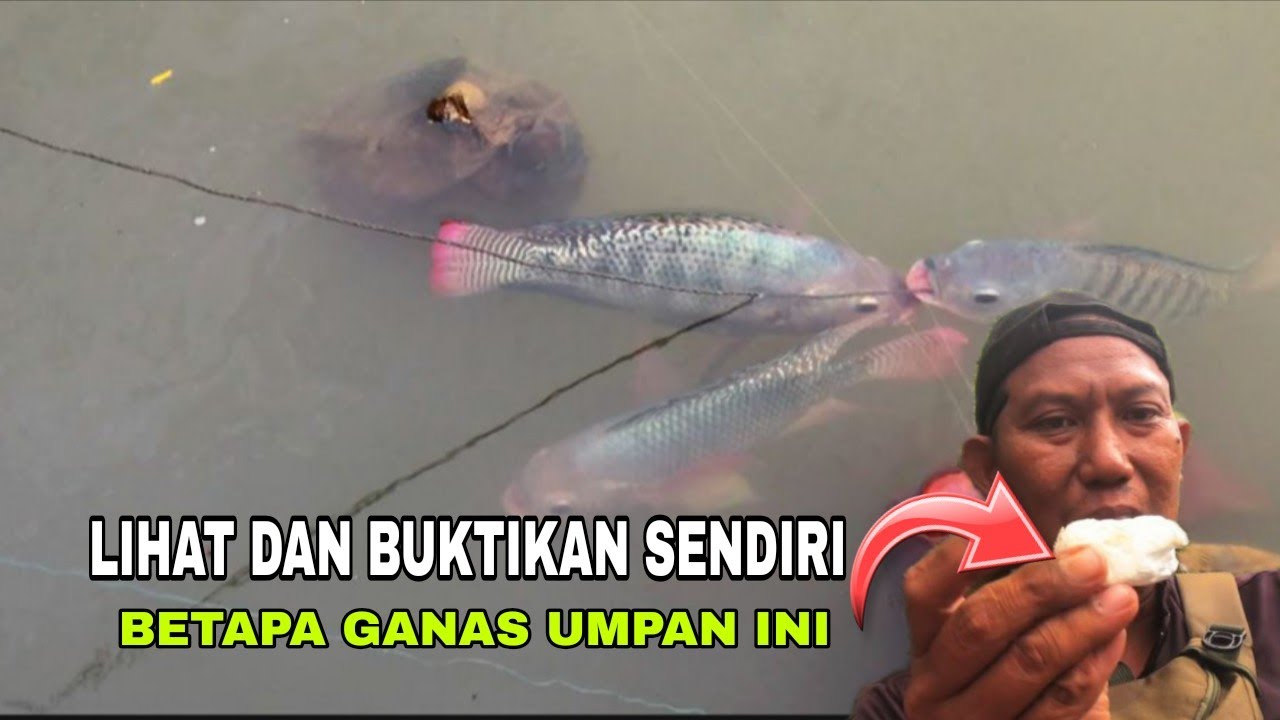 BUKTIKAN SENDIRI // UMPAN SIMPEL HASIL MAKSIMAL // BURUAN KE WADUK CIBUBUR MUALIM JAKARTA TIMUR