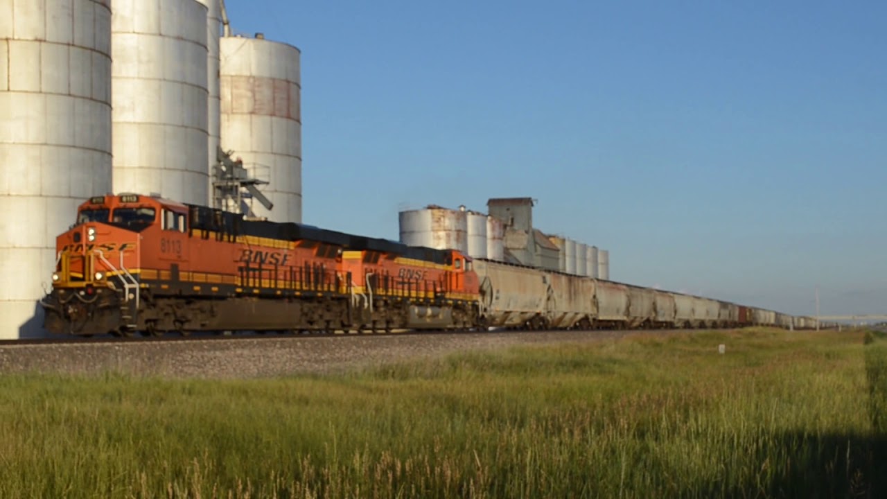 BNSF Grain Train at Berea, Nebraska