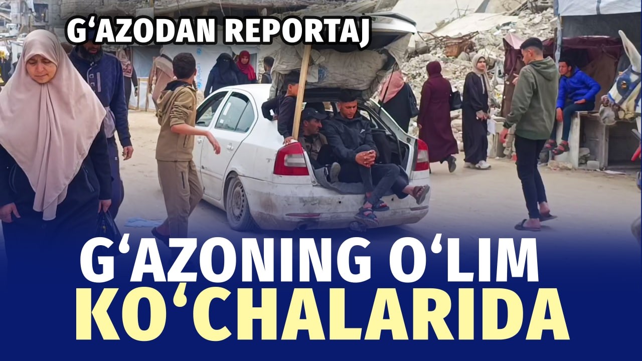 &ldquo;Yo&lsquo;l yurish qimmat va xavfli&rdquo; &mdash; G&lsquo;azo ko&lsquo;chalaridan reportaj