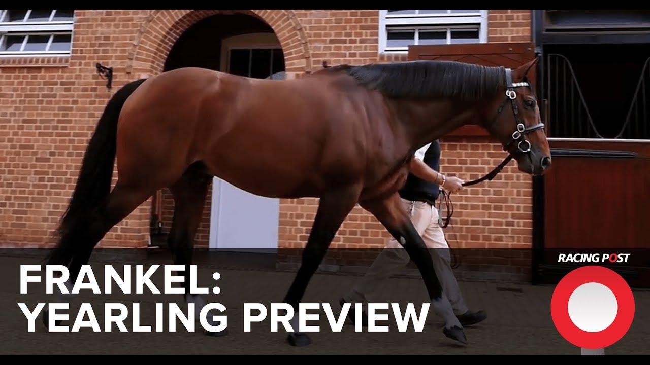 Frankel Watch: предварительный обзор Yearling