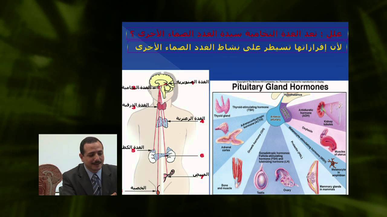 الأحياء - الصف الثانى عشر - الدرس رقم (9) تحت المهاد و الغدة النخامية 1