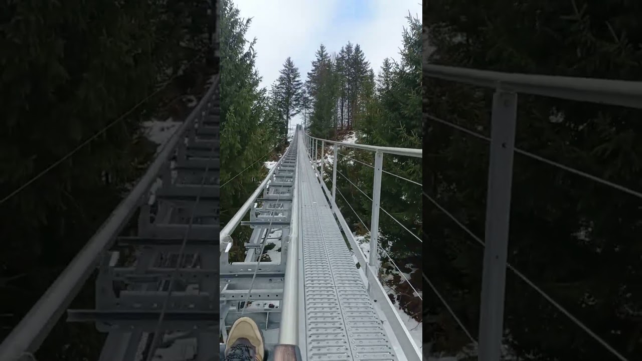 ADRENALINĂ ȘI PANORAME SPECTACULOASE DIN ALPINE COASTER - CHEILE GRĂDIȘTEI 