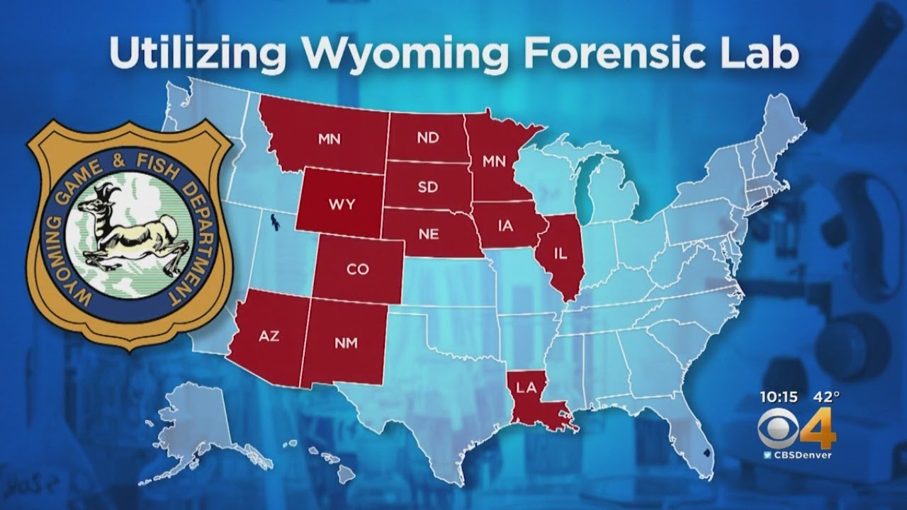 Wyoming Forensic Lab Helps Colorado, Many Other States Solve Cases Involving Wildlife