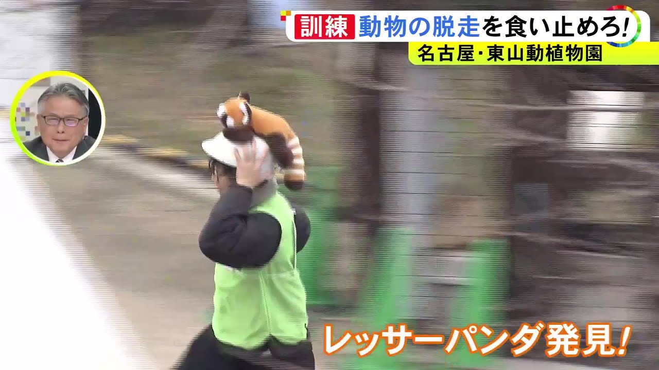 どの動物が脱走するかは秘密…東山動植物園で年に1度の訓練 ネットで囲み麻酔を打つ手順を確認 副園長「日常管理でも気を付けられるいい機会」名古屋市千種区