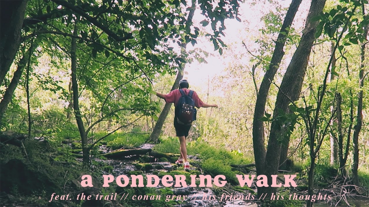 A Pondering Walk 🌿 (Vlog.11)