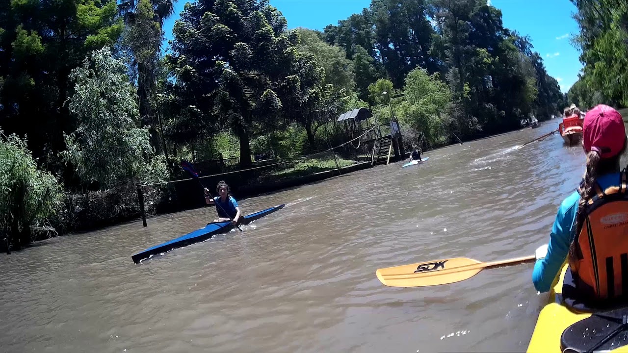 A Remo, por el Rio Lujan y Arroyo Gambado. En el Delta de Tigre.Bs Aires-Rep Argentina...