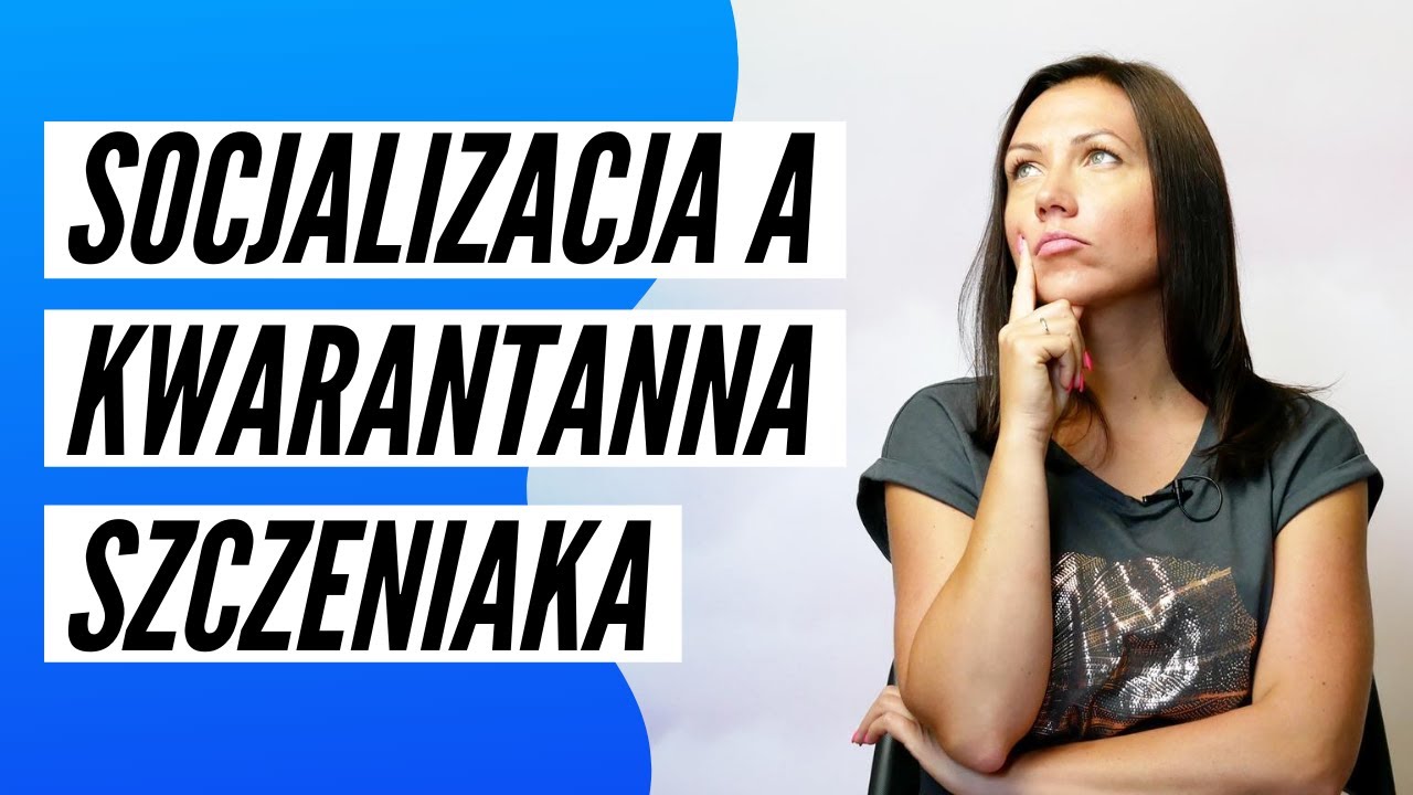 SOCJALIZACJA A KWARANTANNA SZCZENIAKA | Co wybrać by wychować szczęśliwego i zdrowego psiaka?