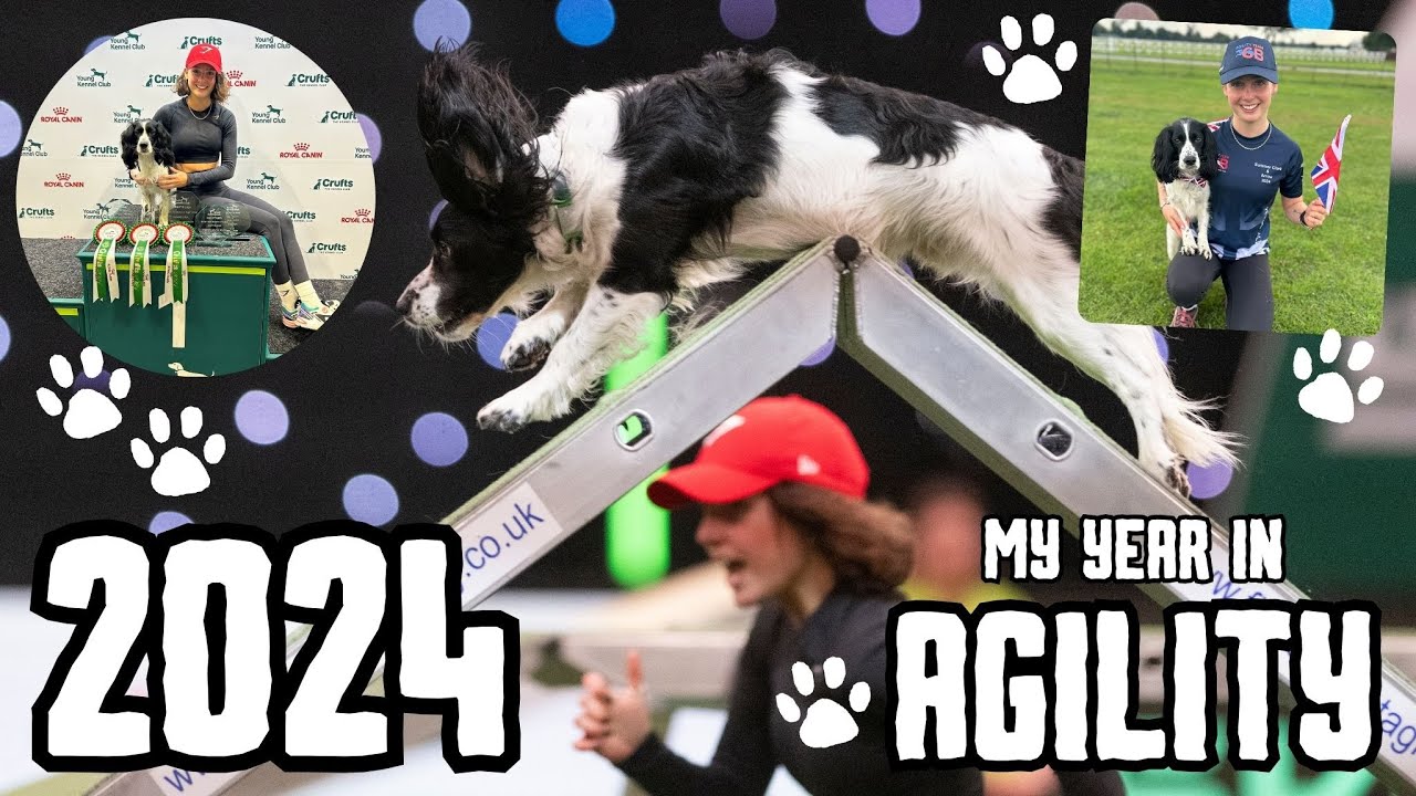 2024 - My Year in Agility