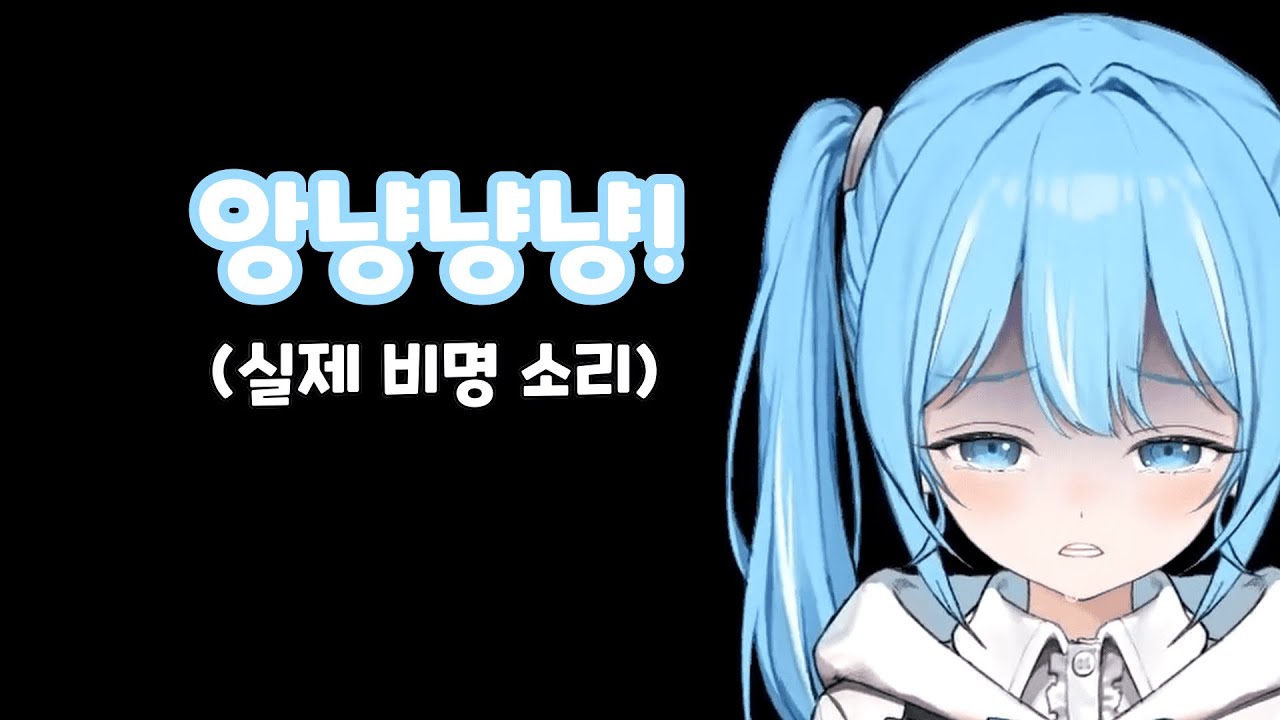 [타비] 비명 맛집 타비의 러브샘 비명모음