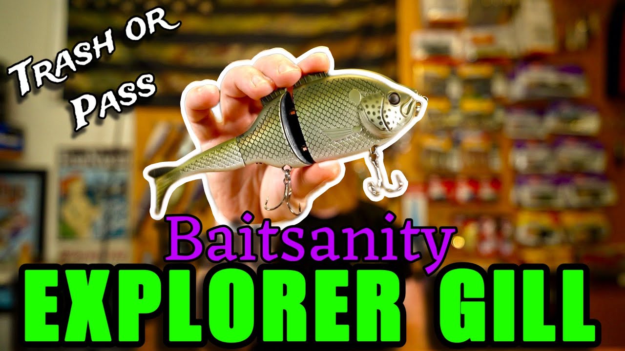 The BAITSANITY Explorer Gill || Trash or Pass