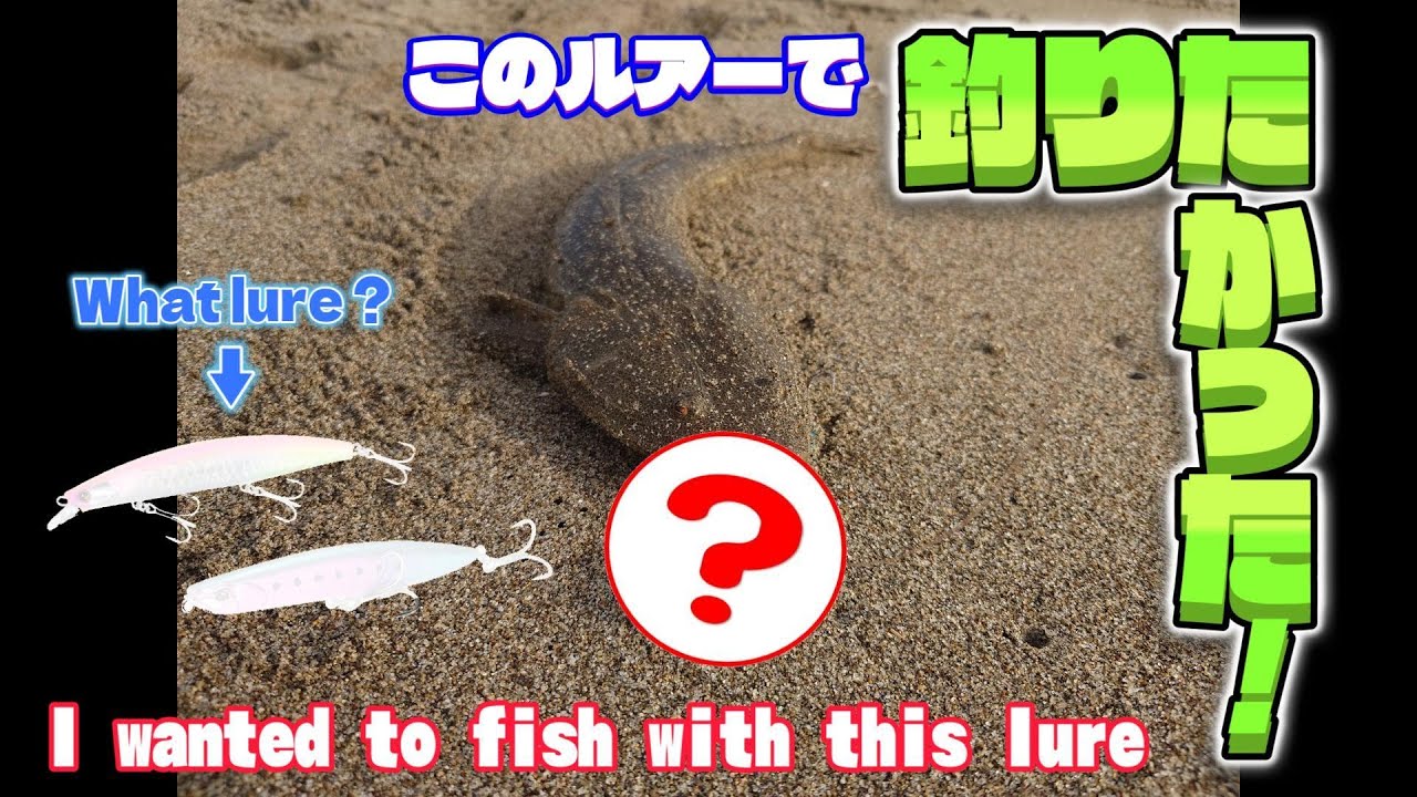 このルアーで釣ってみたい！！🙎🏻‍♂️
