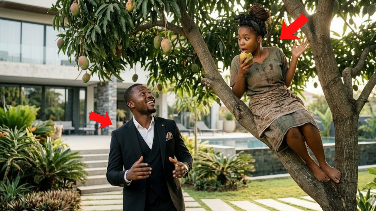 He caught the village girl on his mango tree | billionaire romance story