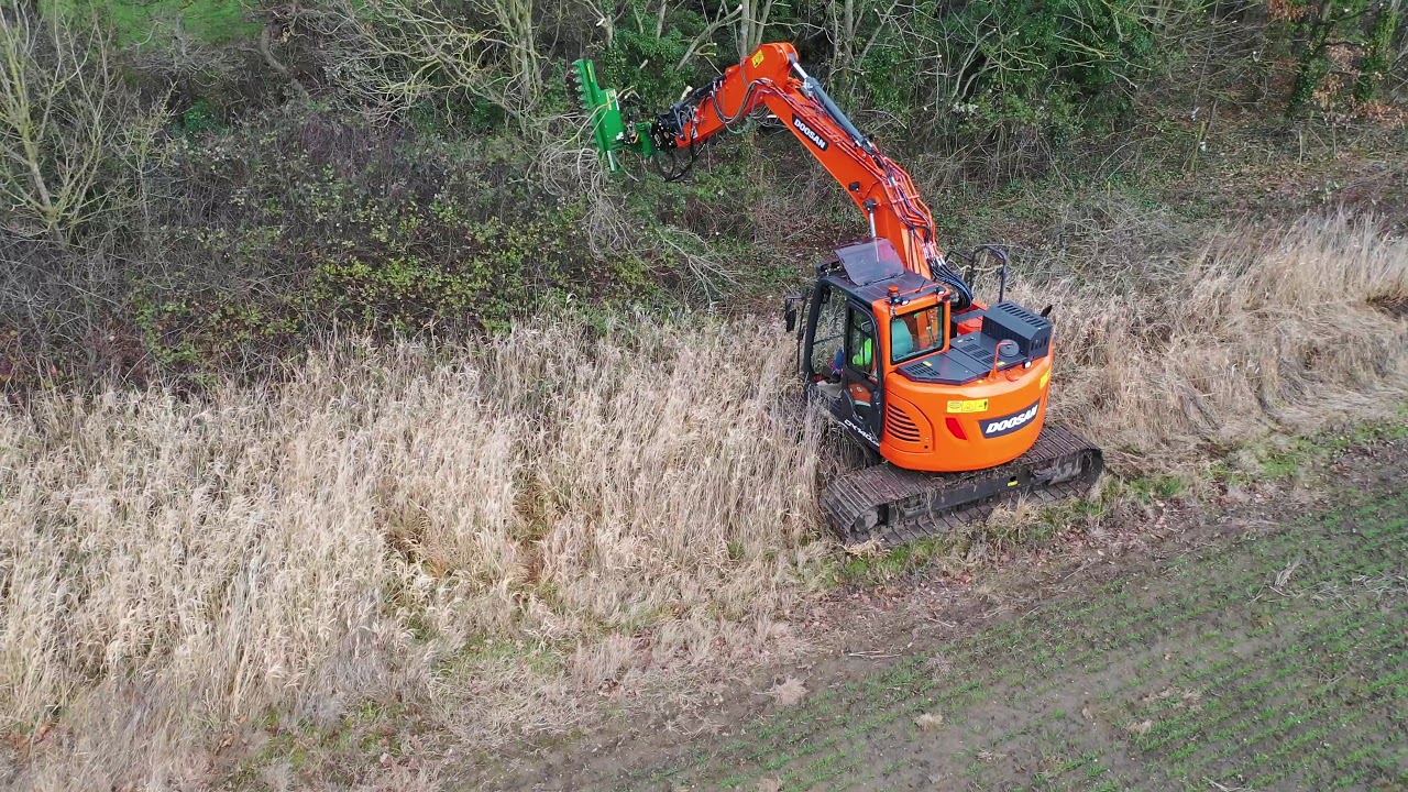 Treemaster Branch Trimmer BT190