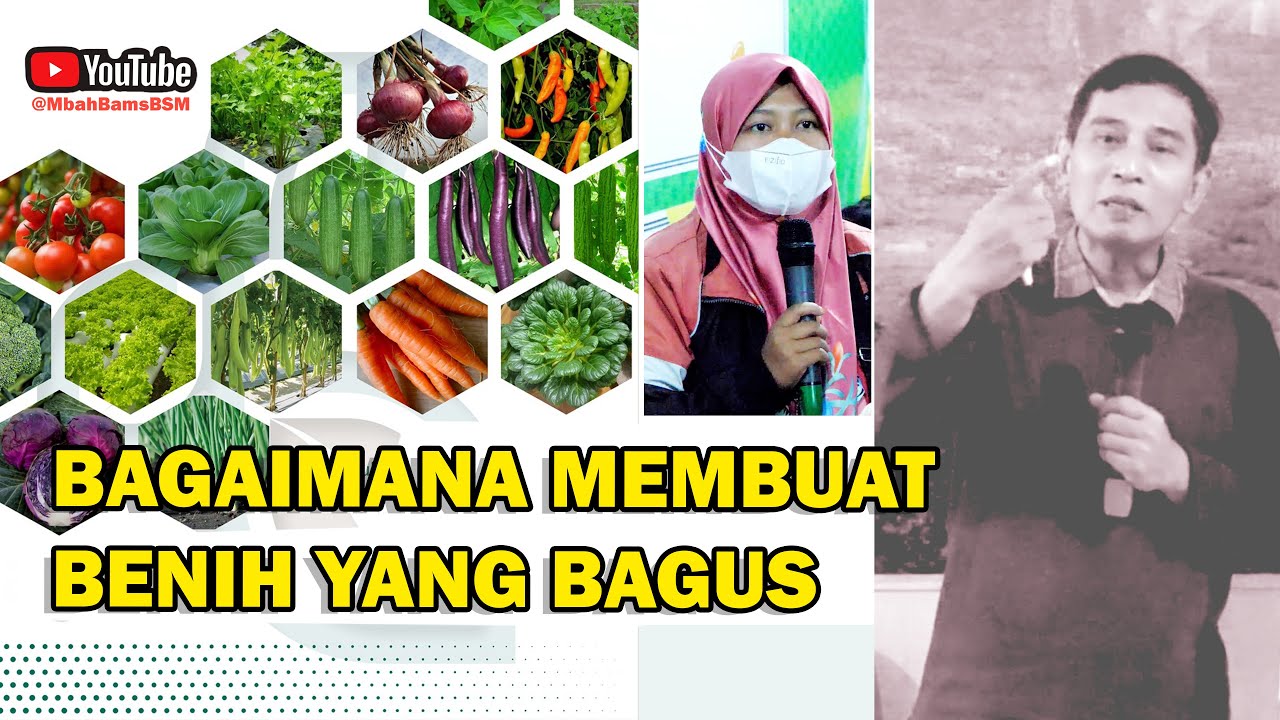 CARA BAGAIMANA MEMBUAT BENIH YANG BAGUS #bayusehatmandiri