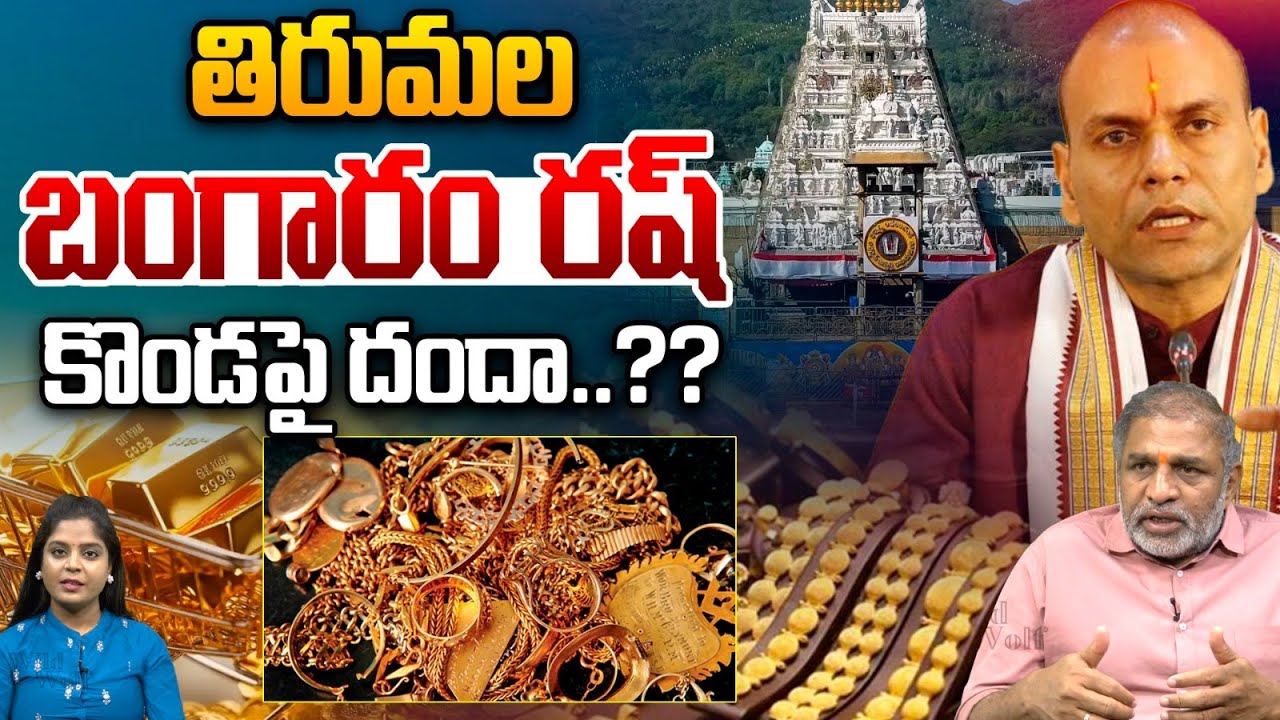 Huge Gold Scam In Tirumala : తిరుమల కొండపై..బంగారం దందా..?? | TTD Latest News | Wild Wolf Telugu