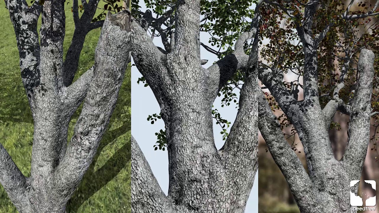 SpeedTree 8.2: Photogrammetry