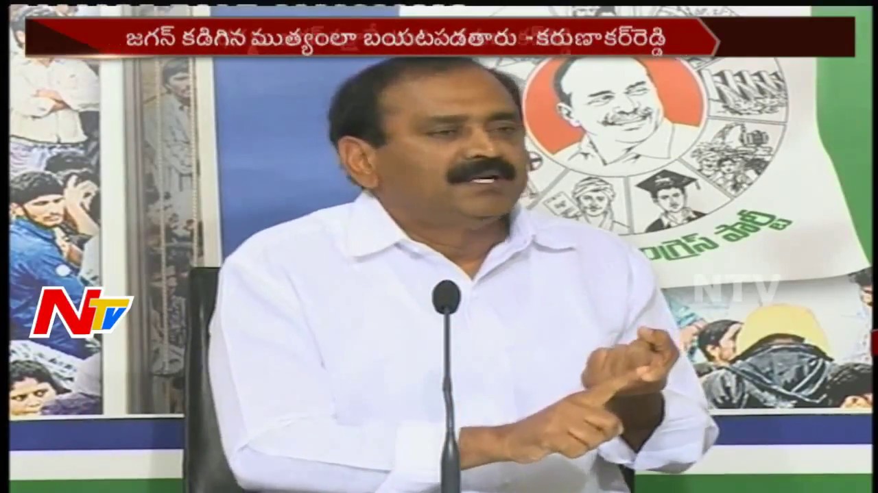 Bhumana Karunakar Reddy Press Meet about YS Jagan Bail Issue || NTV