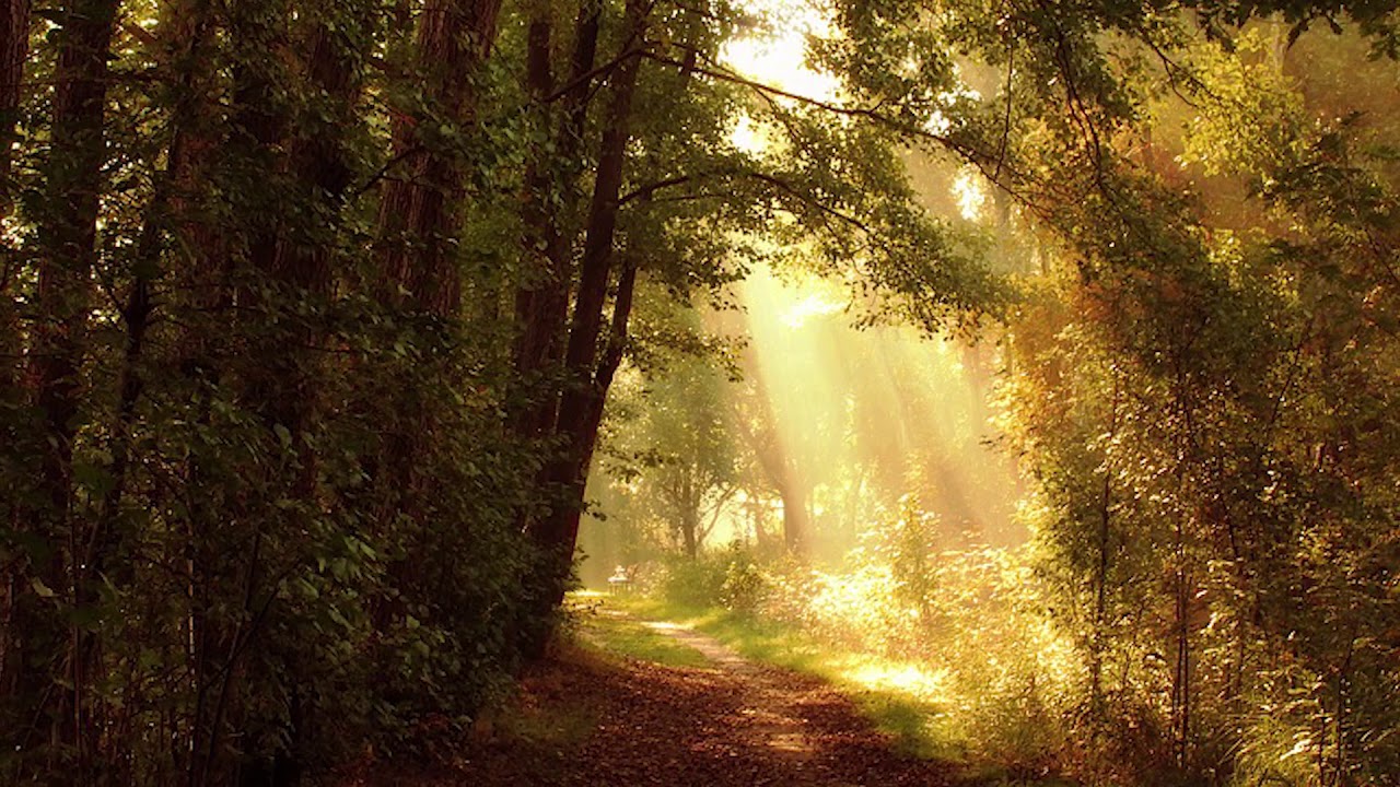 Puiu Chibici si Dorin Cazacu - O, ascultati!