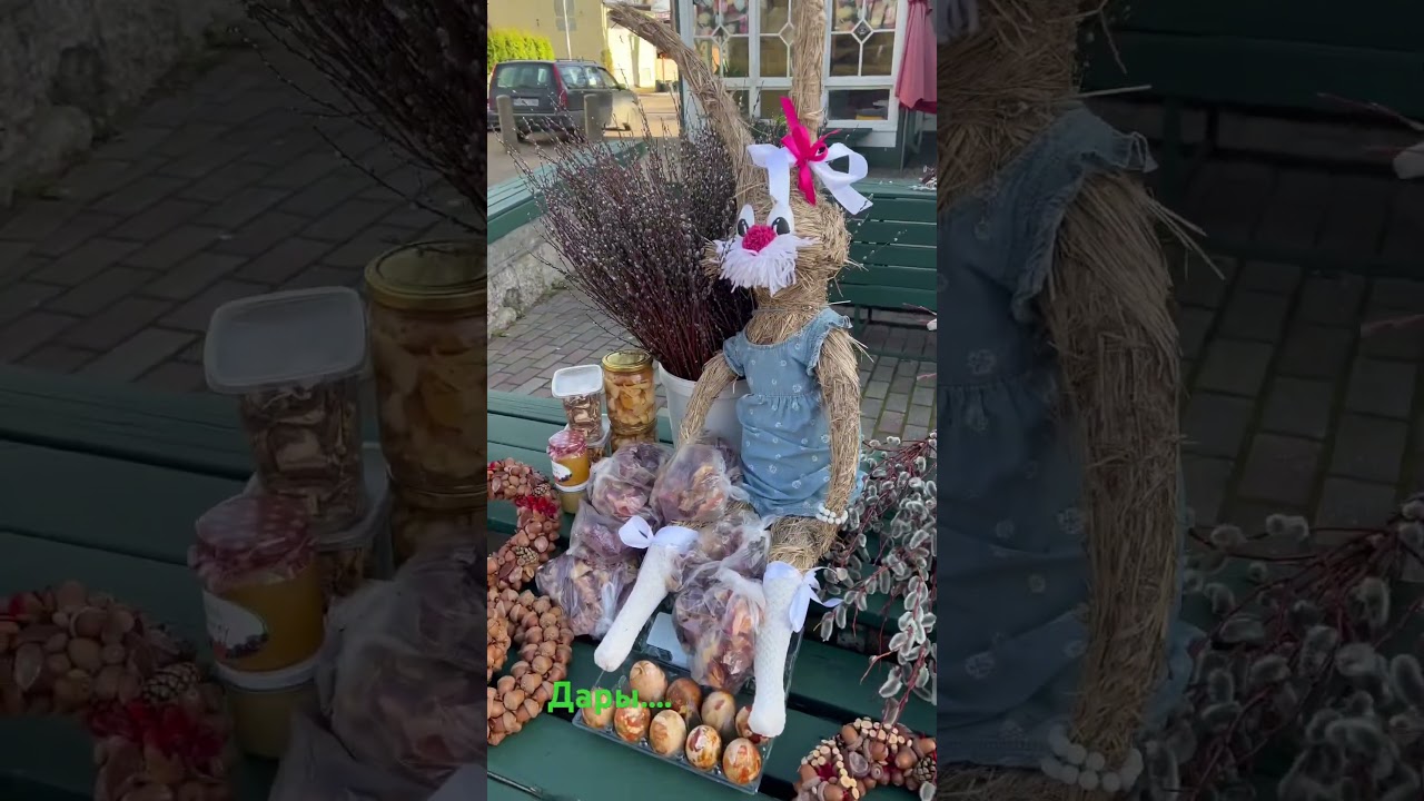Дары природы и&hellip; #latvija #латвия #jurmala #atputa #юрмала #прогулка #pastaiga #природа #davani #дар
