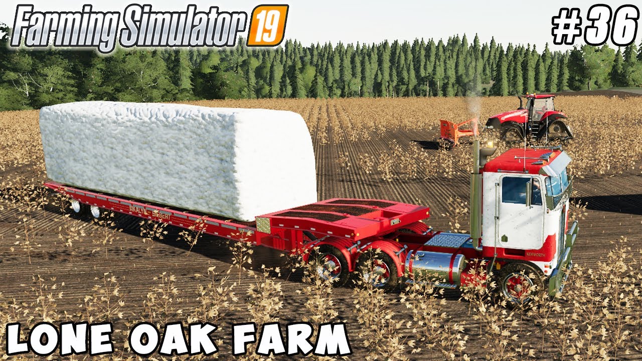Salling big cotton bales, fertilizing fields | Lone Oak Farm | Farming simulator 19 | Timelapse #36