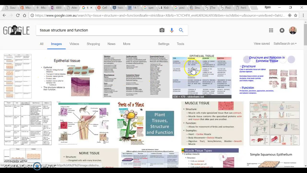 How to research organ specific tissues and cells