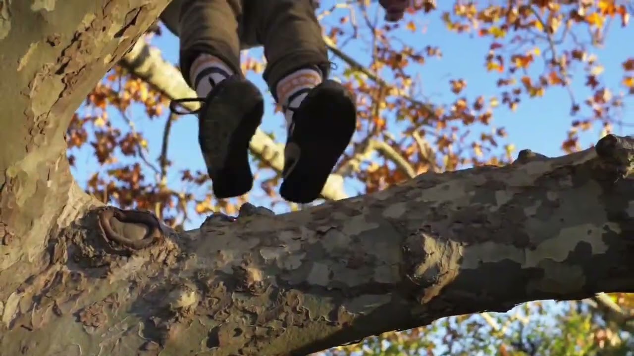 Sun, beach, tree and movements ☀️ #parkour #tree 