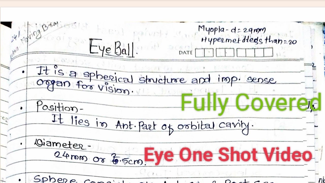 Eye Ball 👁️| Anatomy | Sense organ | Rachana Sharir | Bams | Explain in Marathi | One shot Video |