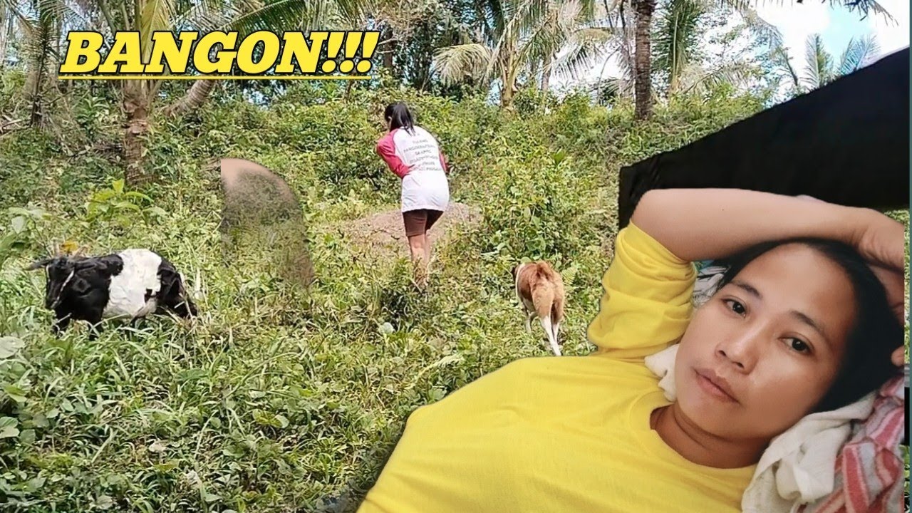 BANGON KAHIT MAHIRAP!