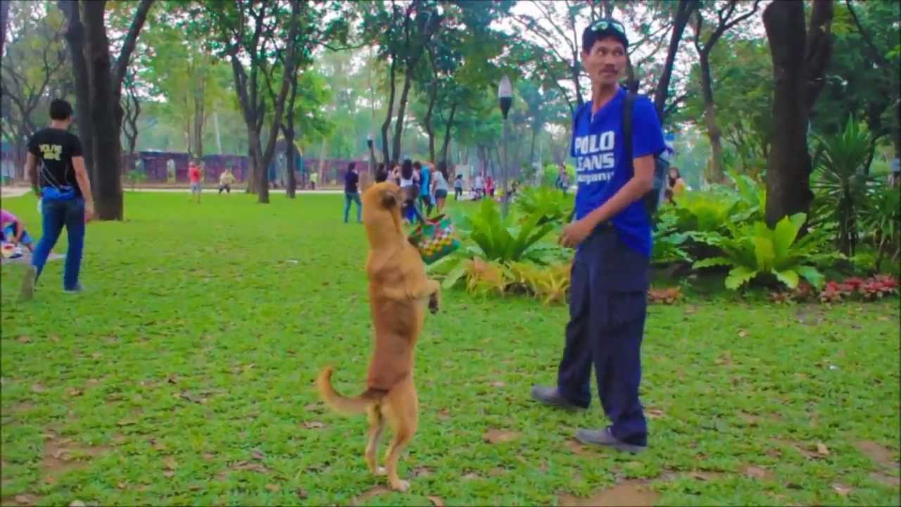 TALENTADONG ASKAL sa CIRCLE