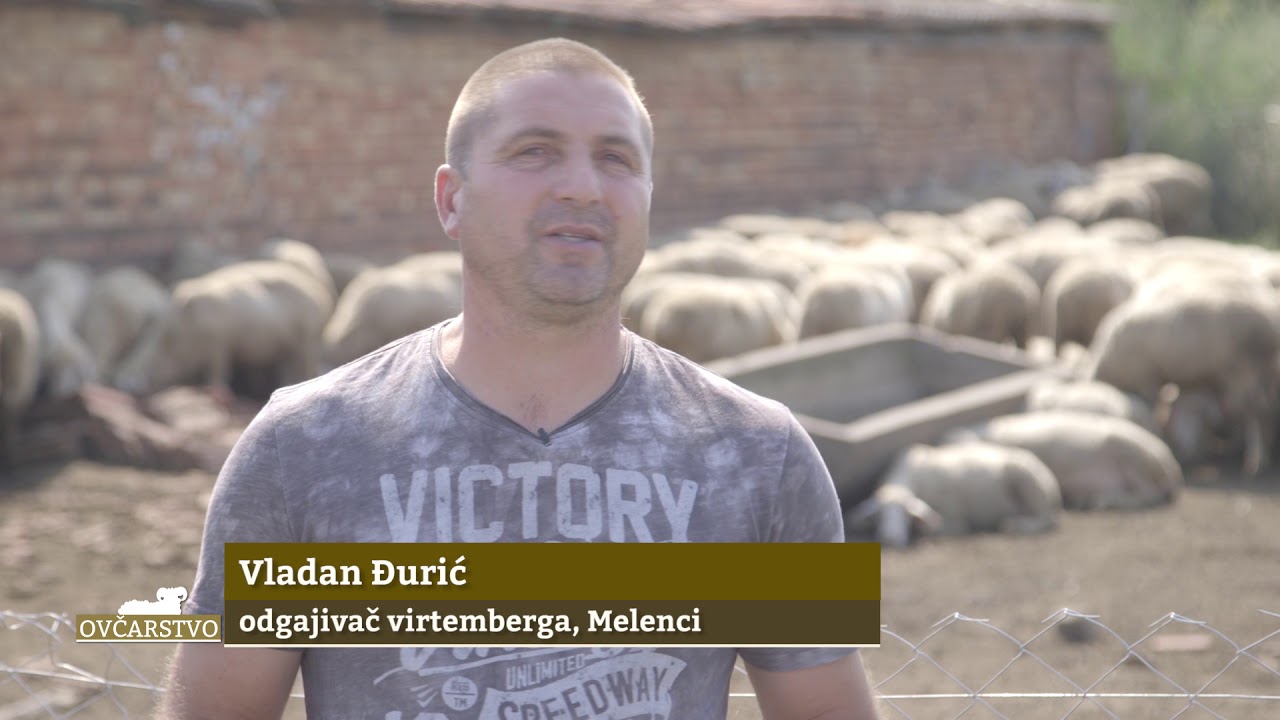 Ovčarstvo ep. 3 09.10.2018. - ishrana ovaca i njen uticaj na produktivnost