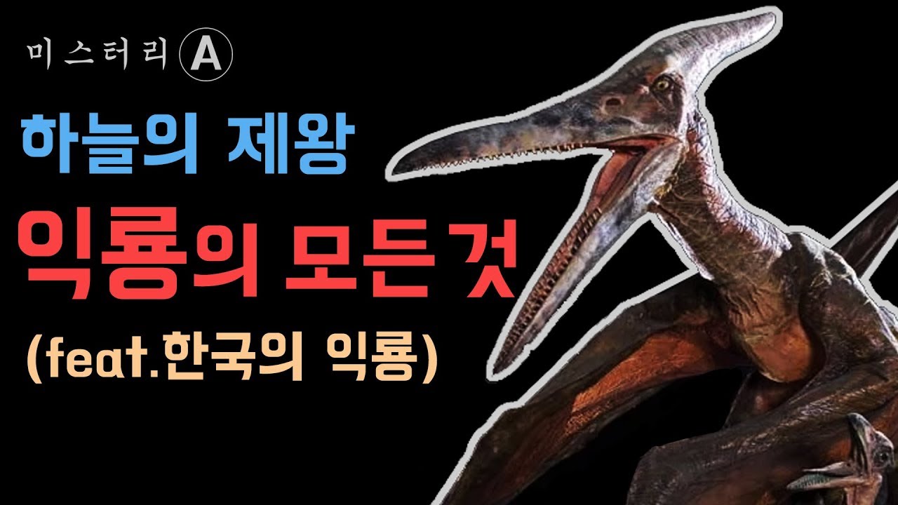 하늘을 날았던 가장 큰 동물, 익룡 / (feat. 한국의 익룡)