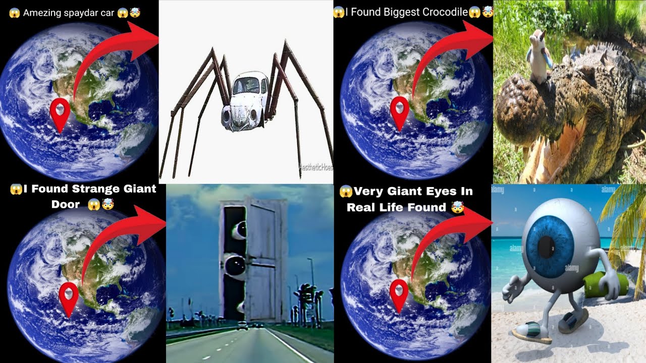 😱Top 5 World's Largest Snails🤯Google Maps and google earth🌍#geographythroughmaps #earth #googleapps 