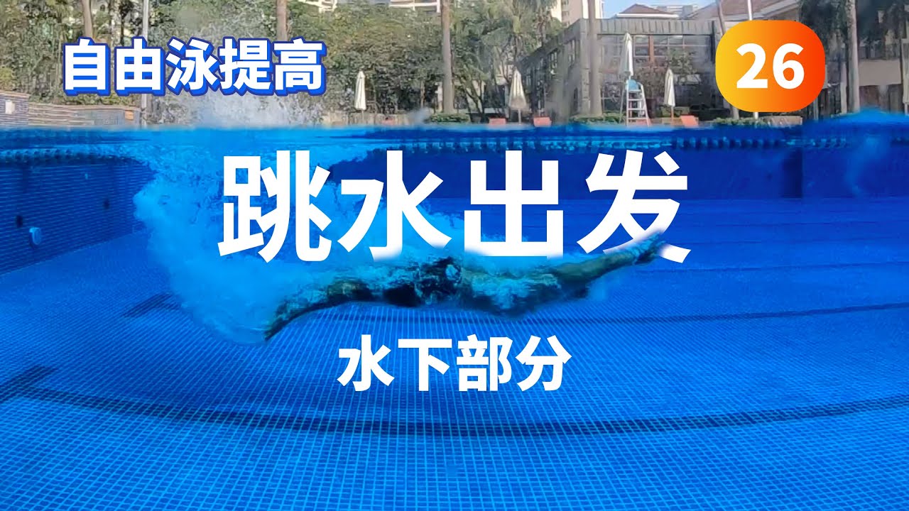 【自由泳提高】26.跳水出发（水下部分）｜梦觉教游泳
