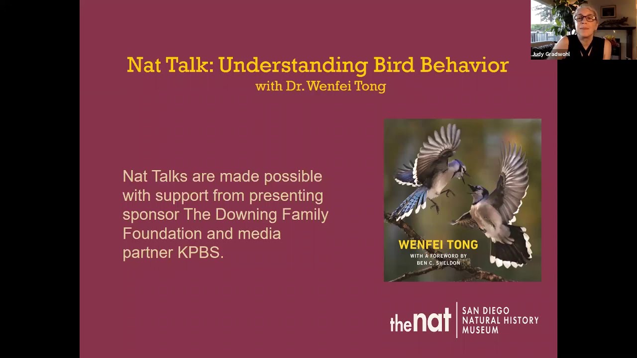 Nat Talk: Understanding Bird Behavior