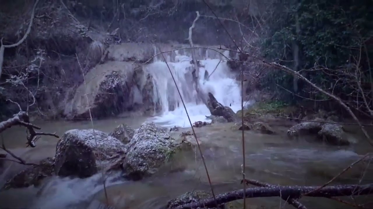 lungo il Torrente Vertola, Corposano PG, Gennaio 2023